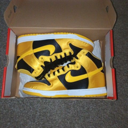 Nike hi dunks/$65 sz 10