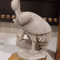 Jade Pelican 