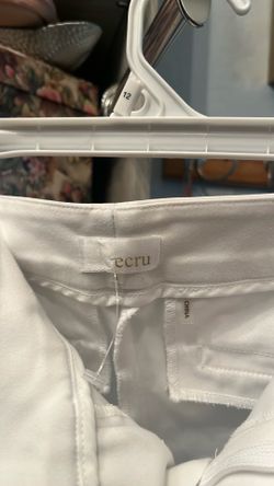 Ecru Designer Women Pants