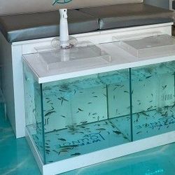 Fish Pedicure Tanks