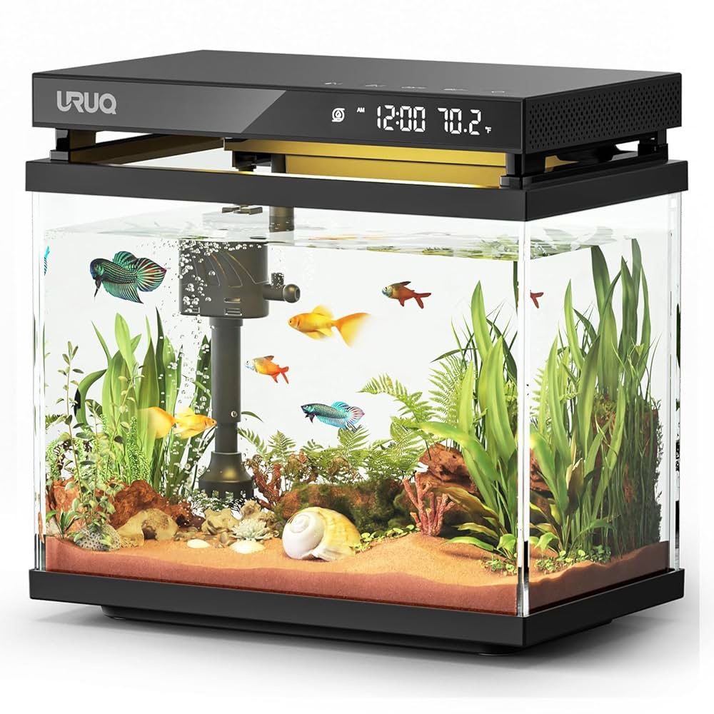Fish Tank Smart Aquarium Kit: 2 Gallon