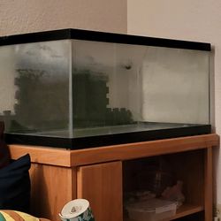 40 Gal Aquarium 