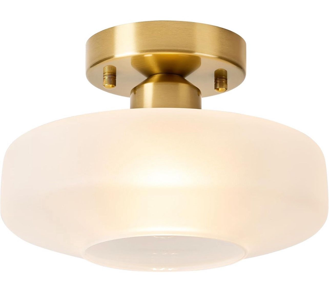 Light with Frosted Glass Shade, (29)
