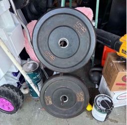 Set of 35lb Bumper weights good condition