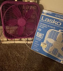 Fan