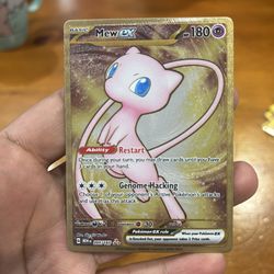 MEW EX