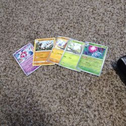 5 Pokemon Cards