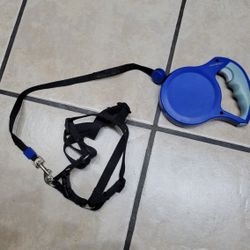 Petmate Walkabout Retractable Dog Leash, large.