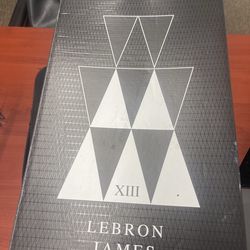 LeBron 13 Never Worn size 12