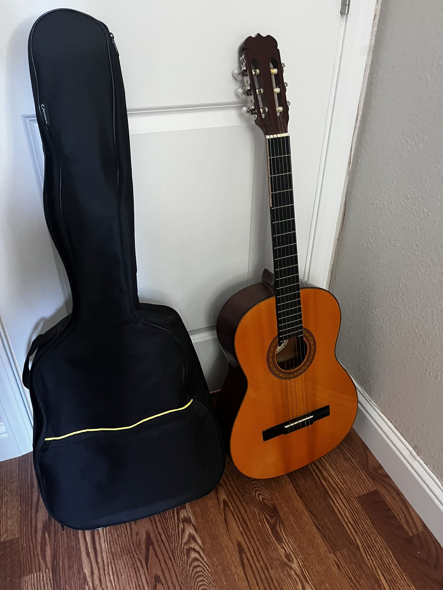 Guitar