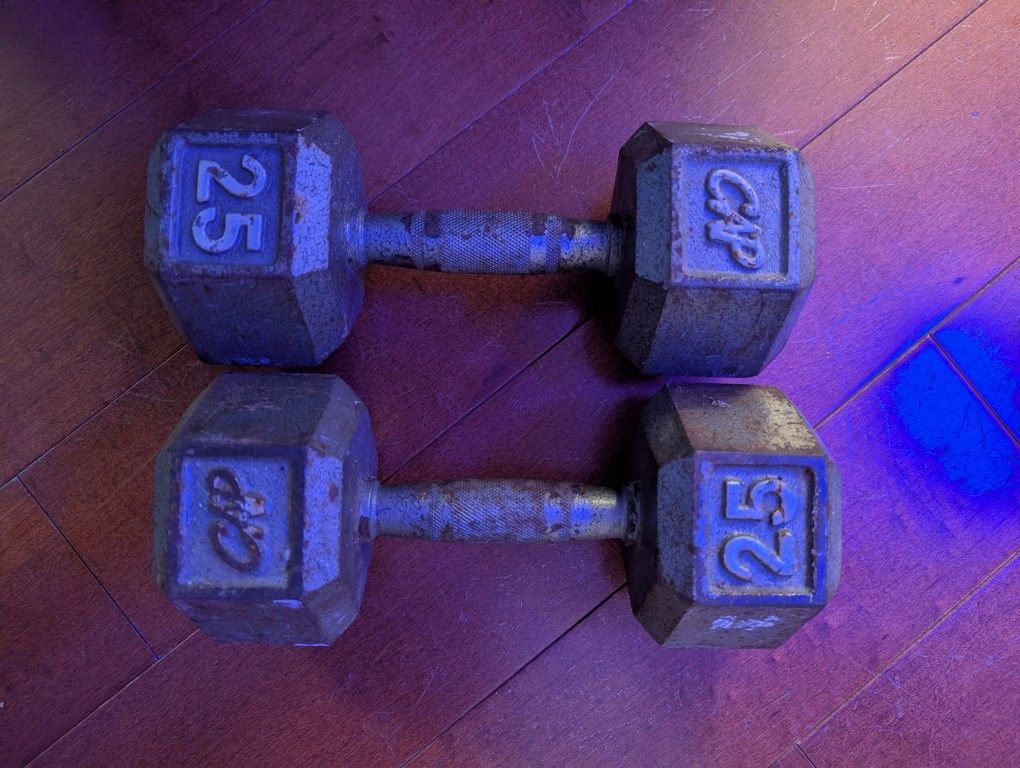 25lb Dumbbell Pair
