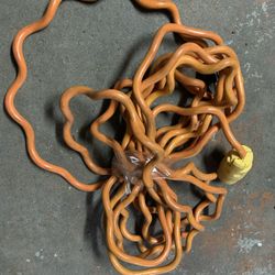 15’ Extension Cord 