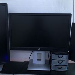 2 Monitors HP E222