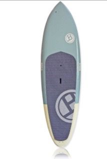 Stand Up Paddleboard *like new/barely used*