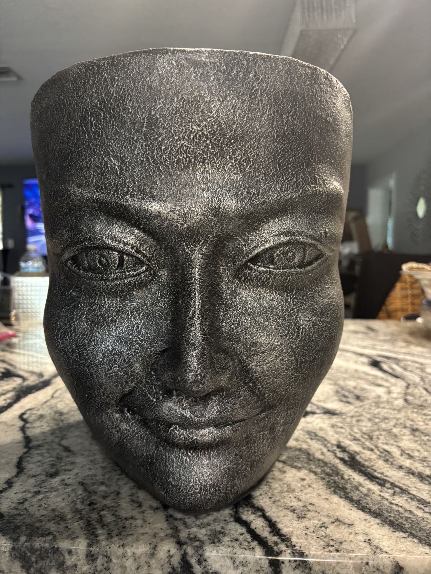Face Flower Pot