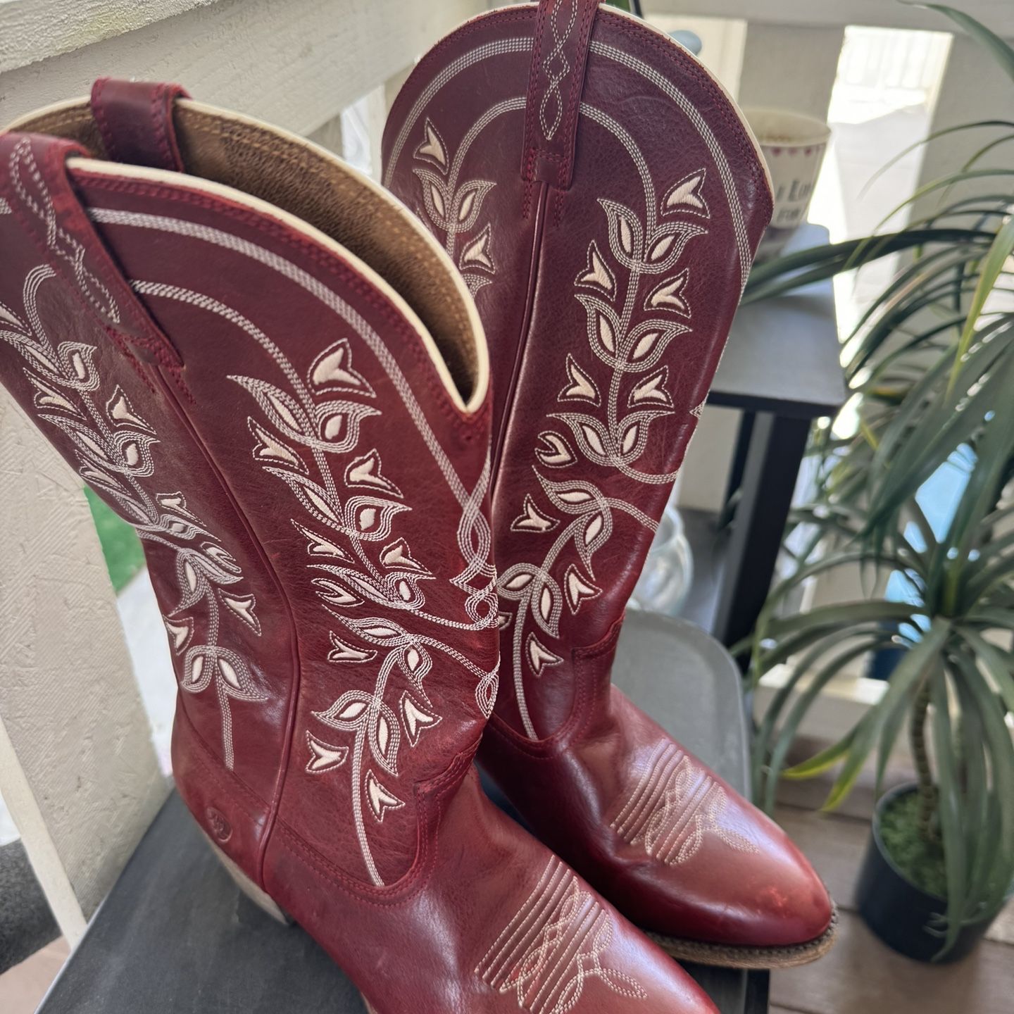 Ariat Women’s Boots