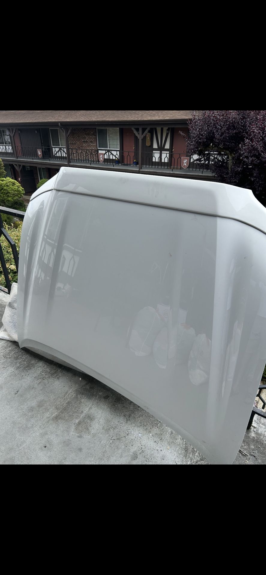2016-2023 Toyota Tacoma Hood White 040