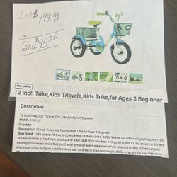12 Inch Trike 