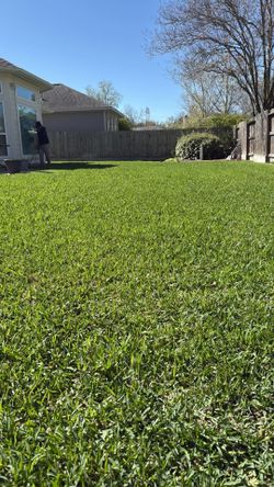 New grass