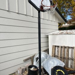 Basketball Hoop Free