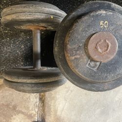 Dumbbells 50 Lb Pro Style 