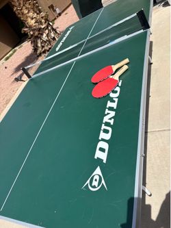 Ping Pong Table