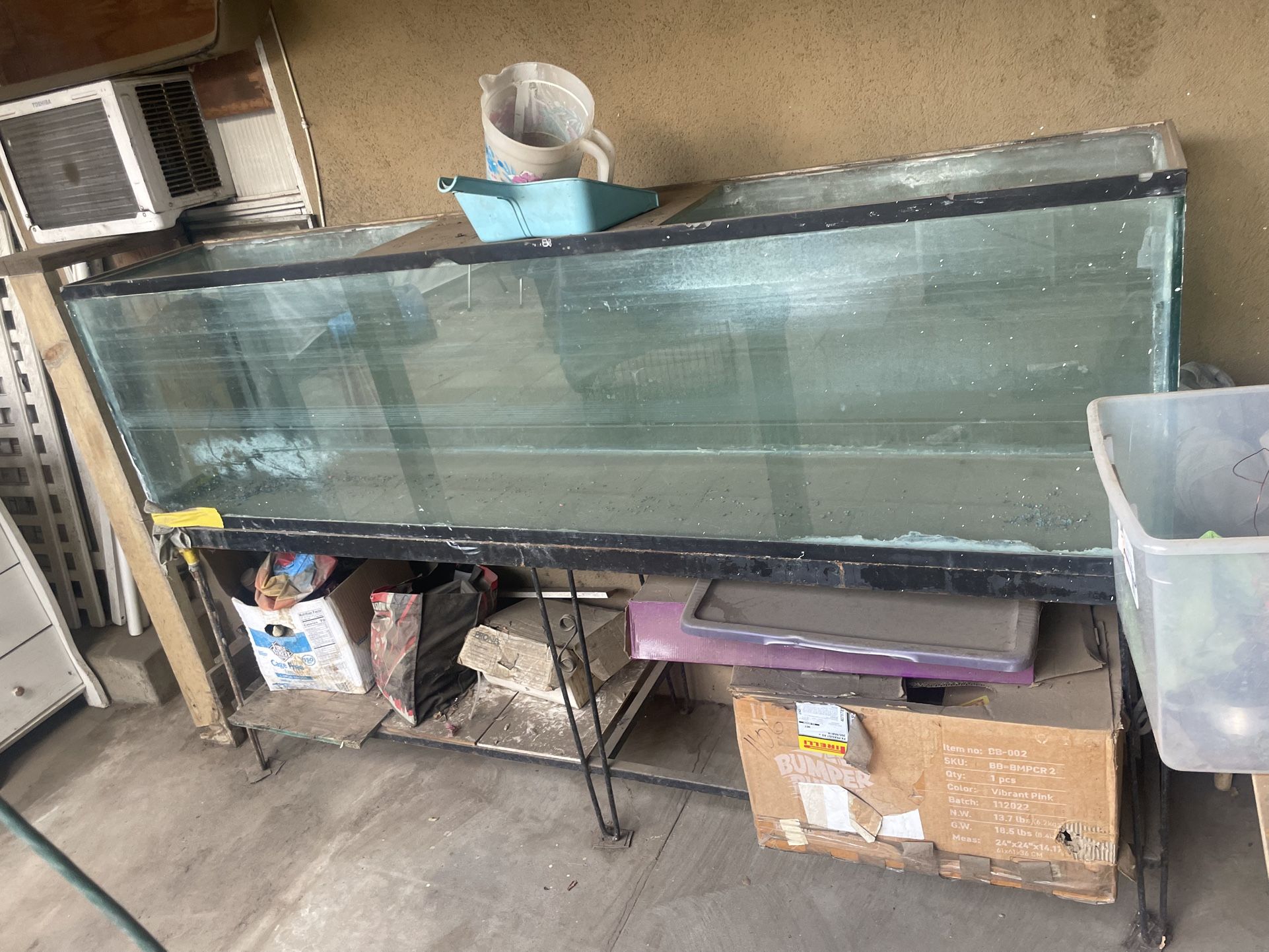 Large Fish Tank
