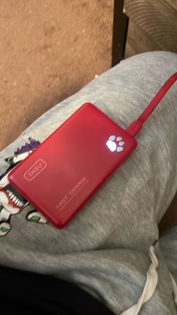 Portable charger
