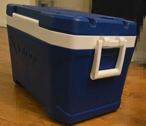 Igloo Cooler for Sale