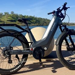 Segway SAFARI EBIKE 