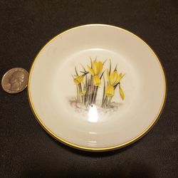 Vintage Royal Worcester bone china trinket pin dish