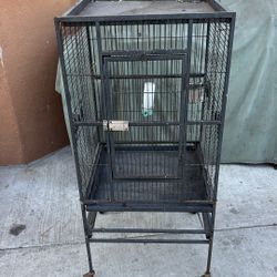 bird cage 