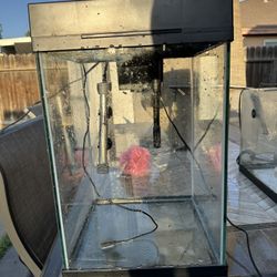 Aquarium Fishtank