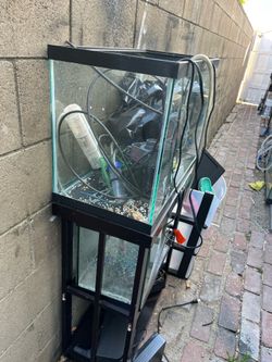 Aquariums all free