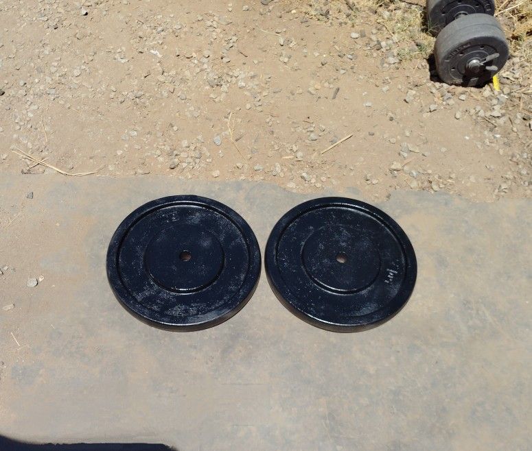 Weights 2x50lbs 1in Hole