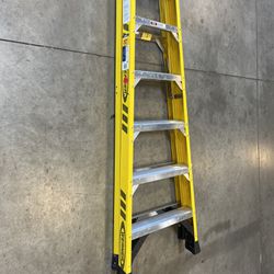 WERNER 6 ft. Fiberglass Single-Sided Step Ladder with 375 lbs. Load Capacity Type IAA Duty lol