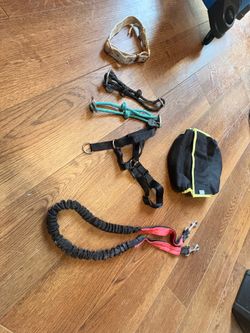 Dog stuff
