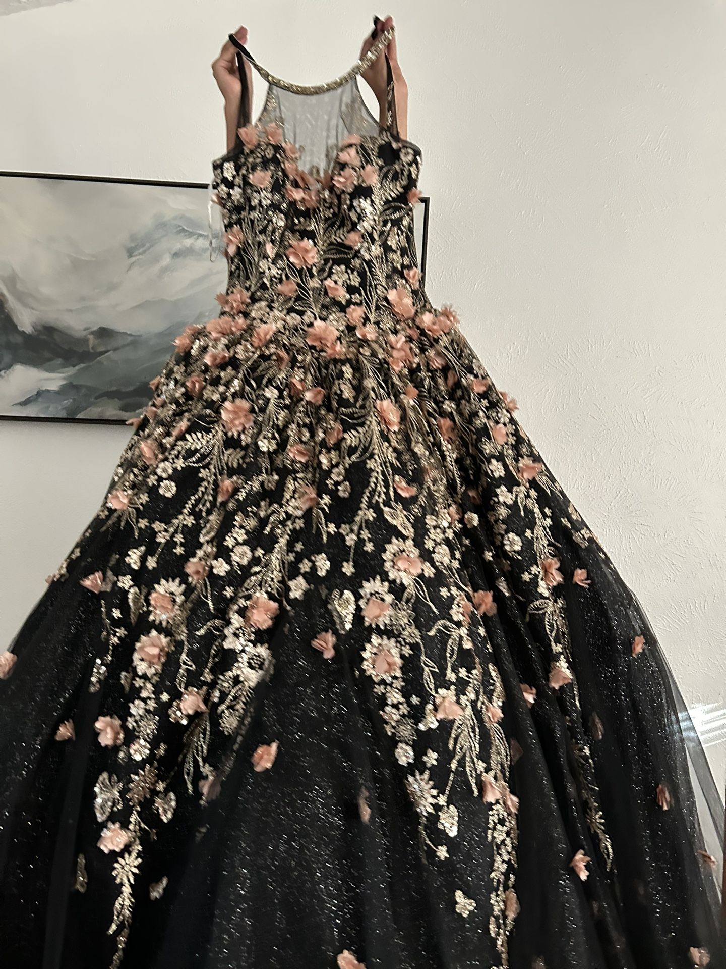 Quinceañera dress