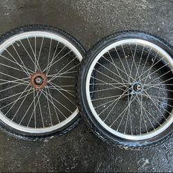 Old School GT BMX 20 Inch Rims