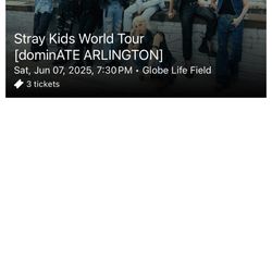 Stray kids Tickets