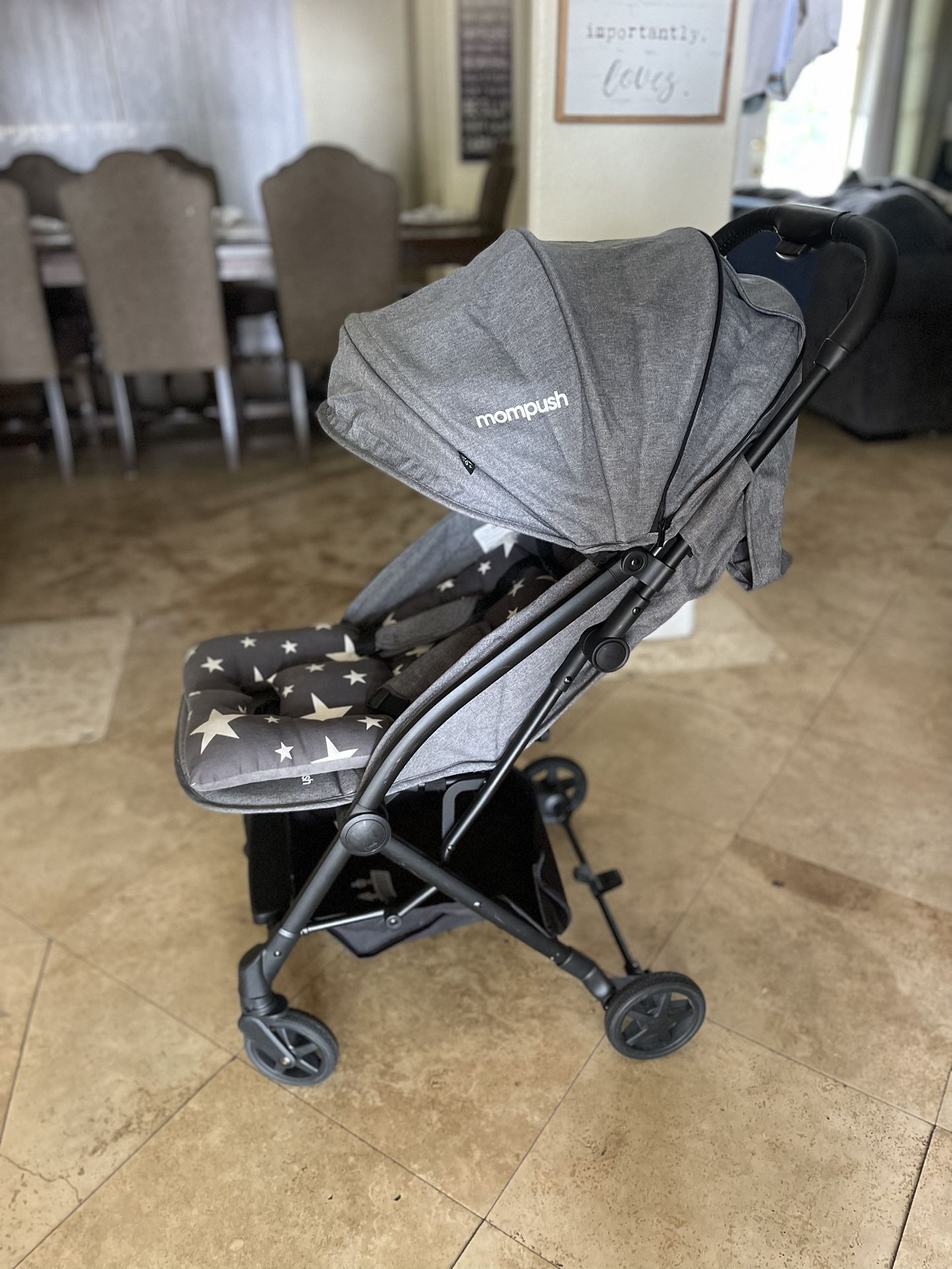 Mom push Stroller