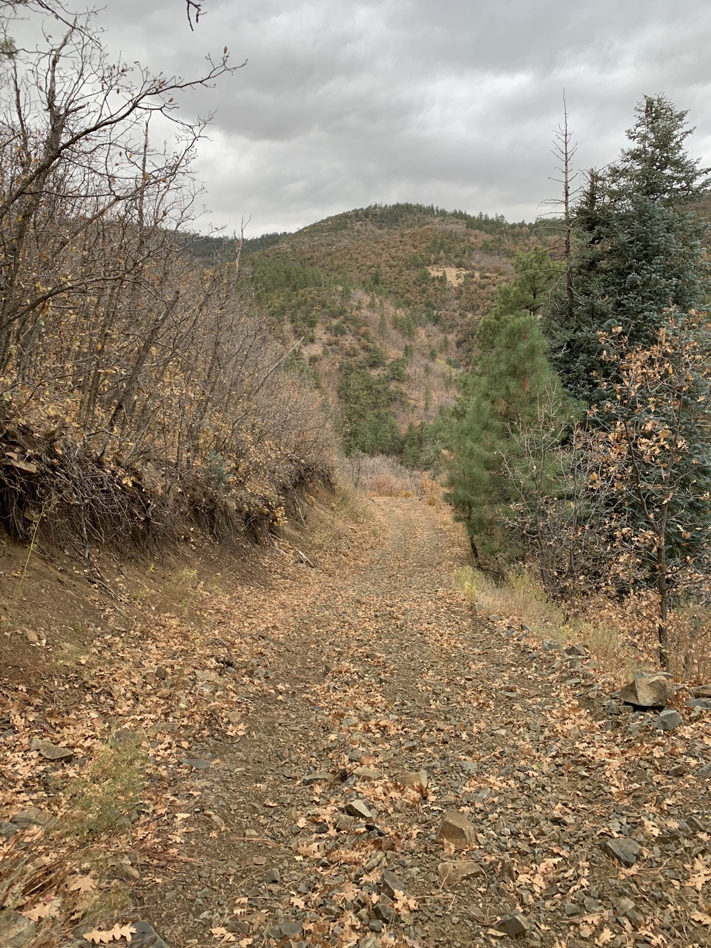 2 acre lot