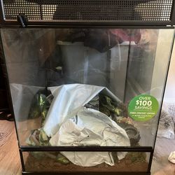 Lizard Tank