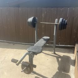 Weight Bench And Weights 