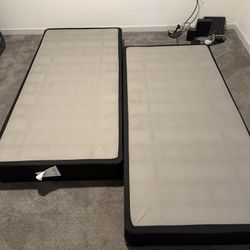 Two Box Springs 
