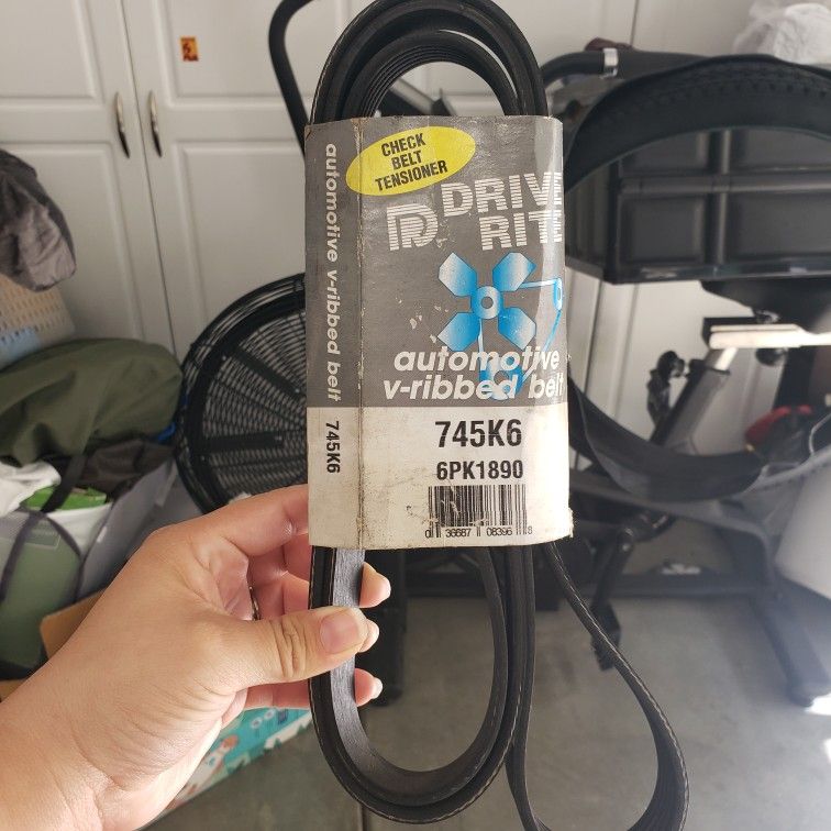 Serpentine Belt