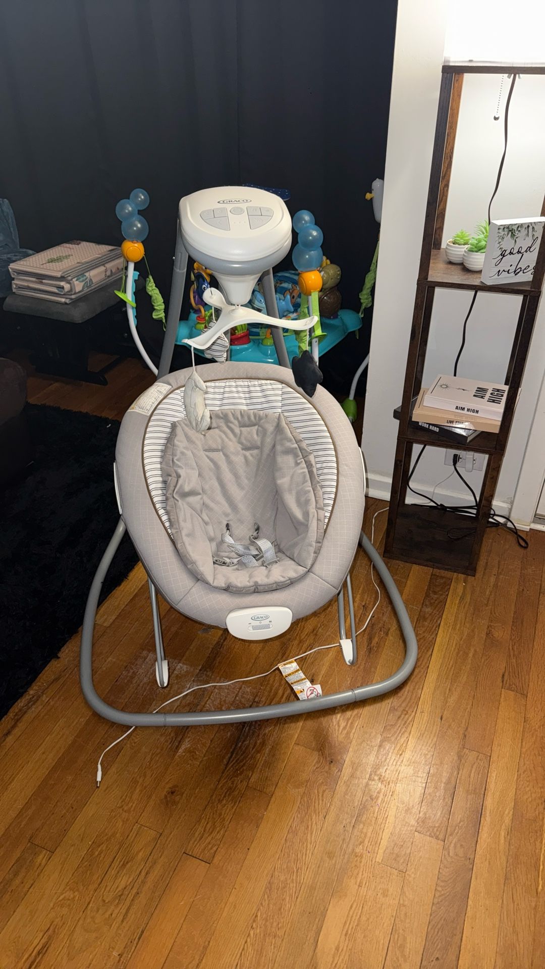 Graco Baby Swing Local Meet Up Only