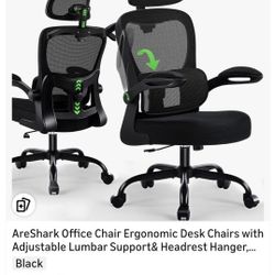 AreShark Office Chair Ergonomic Desk Chairs with Adjustable Lumbar Support& Headrest Hanger, High Back Breathable Mesh Chair with Wheels, Rolling Swiv
