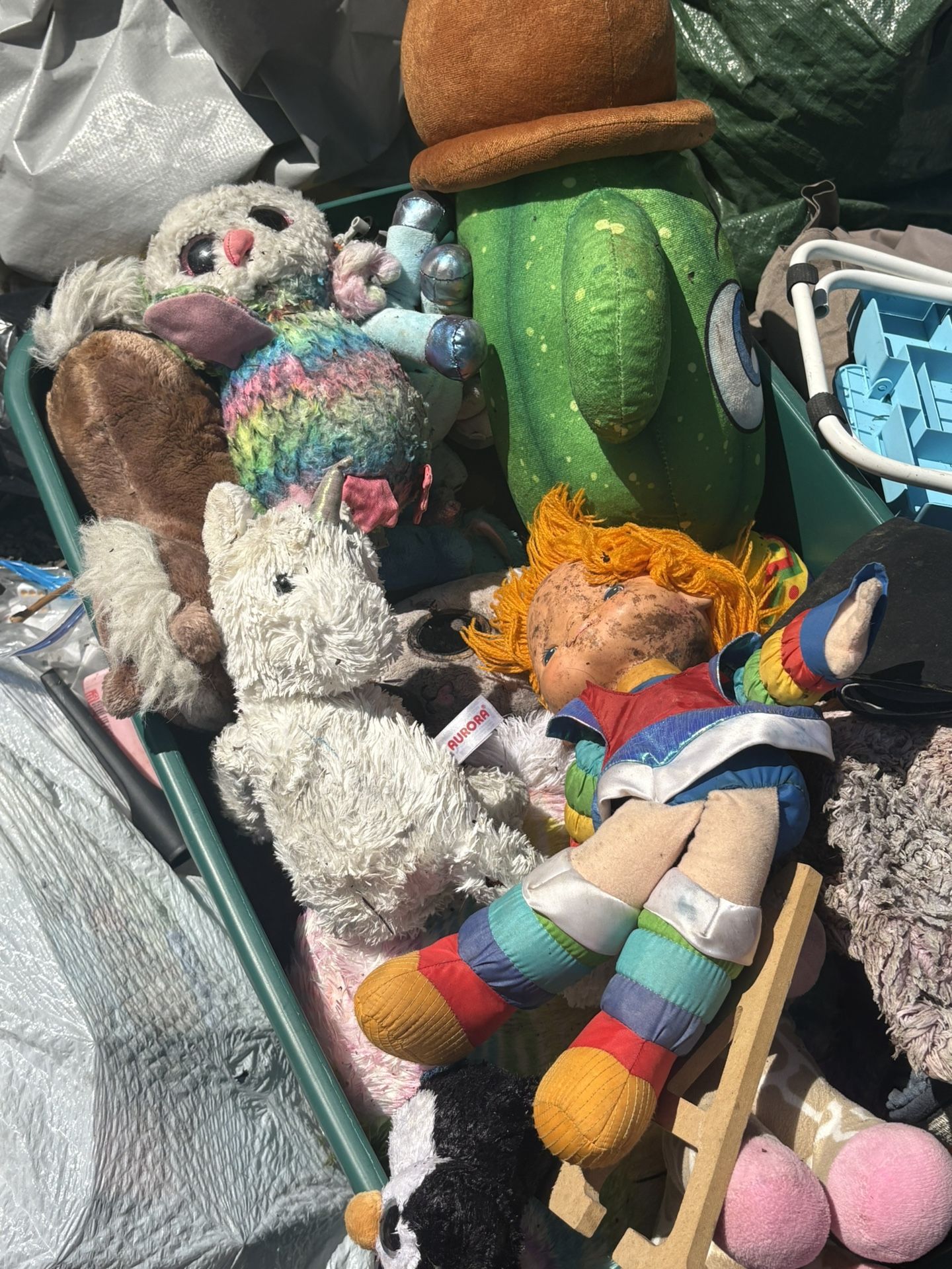 Box Of Random Dirty Stuffed Animals