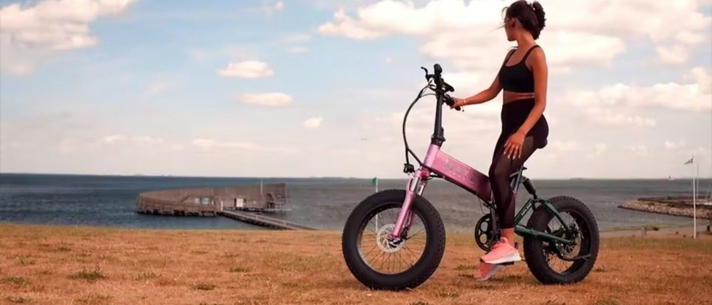 Mate X 750W Electric Foldable Bike (Limited Edition Unicorn)